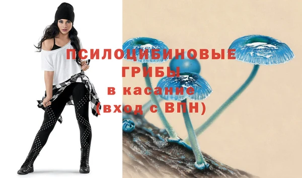 2c-b Новодвинск