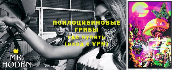 шишки Беслан